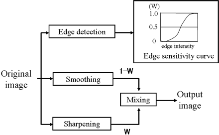 Fig 1.
