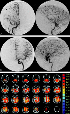 Fig 1.