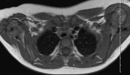 Fig 5.