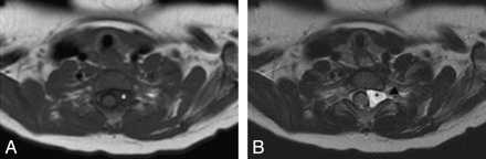 Fig 6.