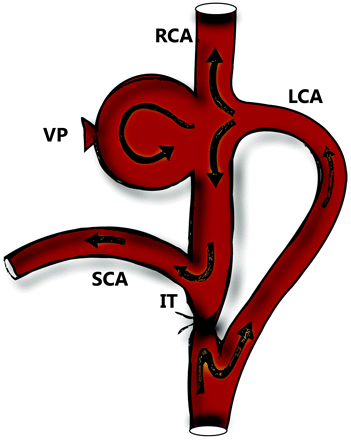 Fig 1.