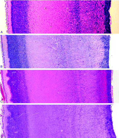 Fig 5.