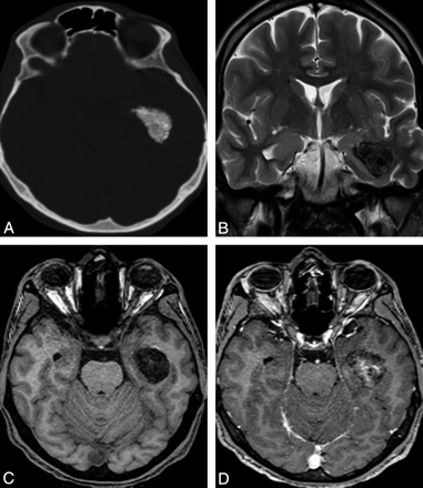Fig 1.