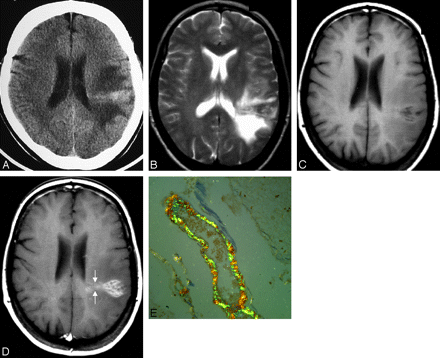 Fig 1.