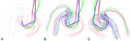 Fig 3.