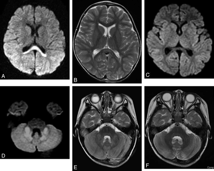 Fig 1.