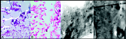 Fig 2.