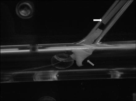 Fig 4.