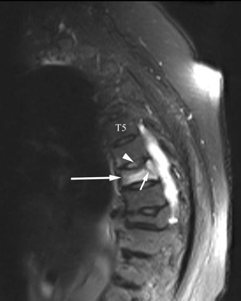 Fig 7.