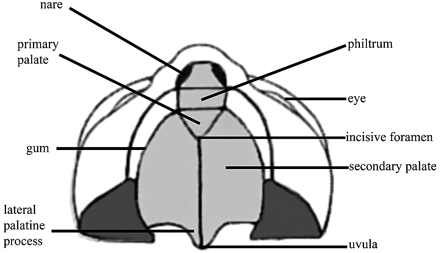 Fig 3.