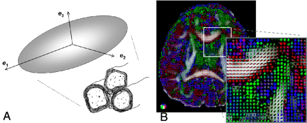Fig 2.