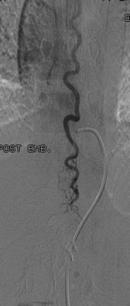 Fig 7.