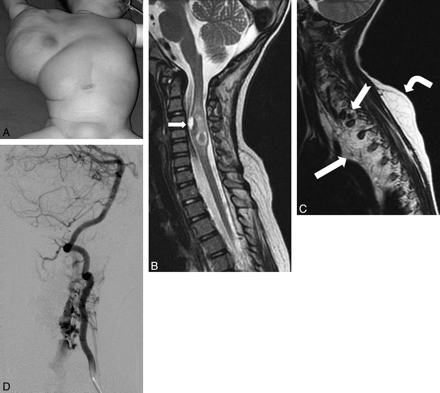 Fig 1.