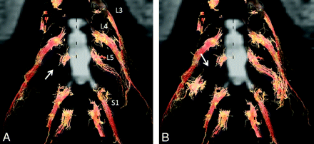 Fig 3.