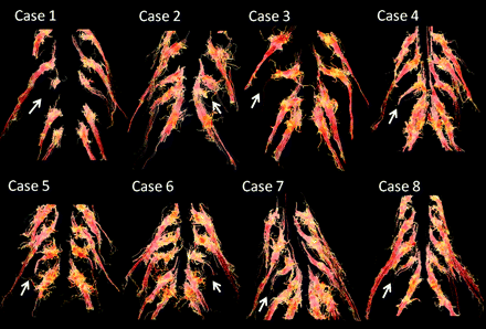 Fig 4.