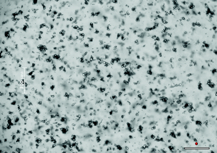 Fig 2.