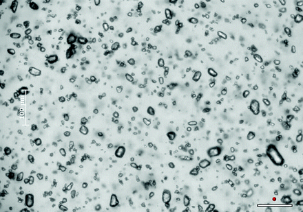 Fig 3.