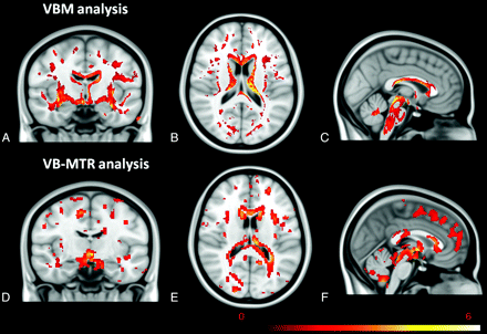 Fig 1.