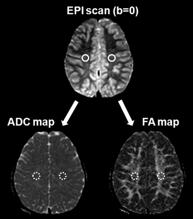 Fig 1.