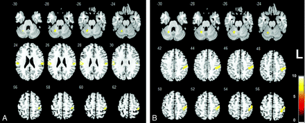 Fig 1.
