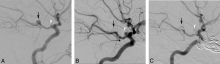 Fig 1.