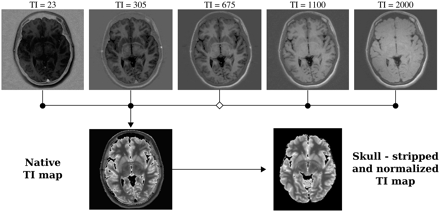Fig 1.