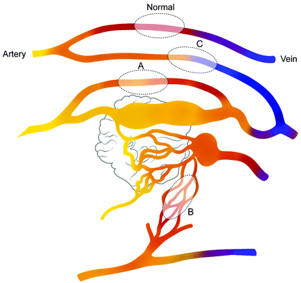 Fig 4.