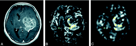 Fig 1.
