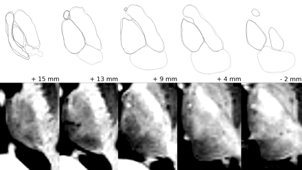 Fig 6.