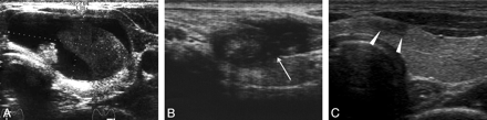 Fig 1.
