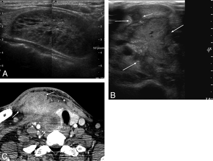 Fig 3.