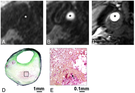 Fig 4.