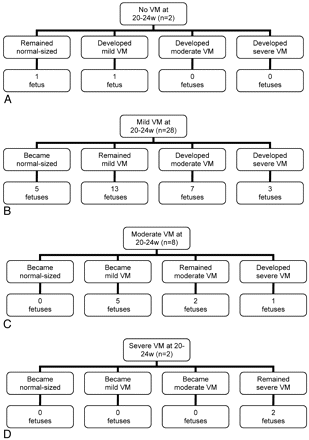 Fig 2.