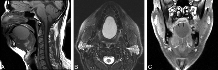 Fig 1.
