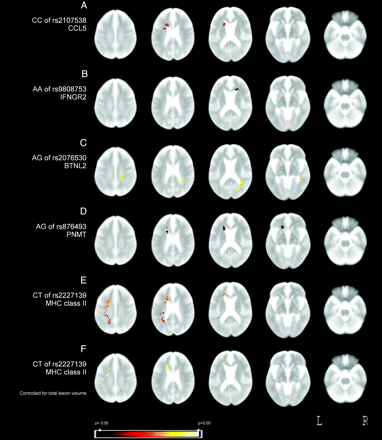 Fig 2.