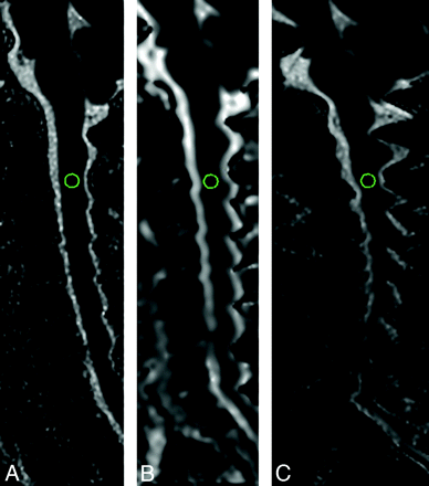 Fig 3.