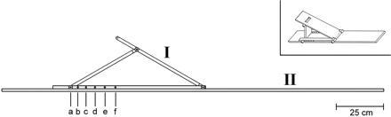 Fig 1.