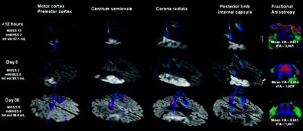 Fig 1.