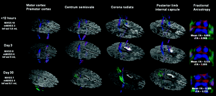 Fig 2.