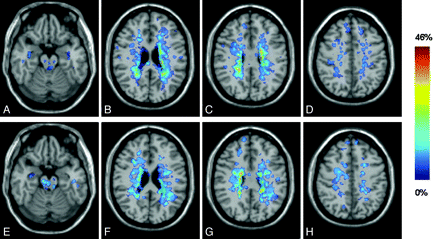 Fig 1.