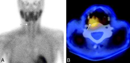 Fig 1.