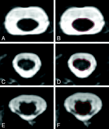 Fig 1.
