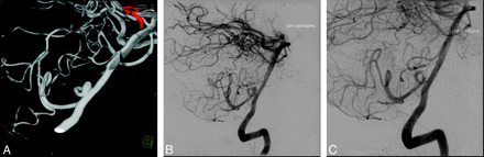 Fig 1.