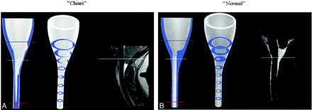 Fig 1.