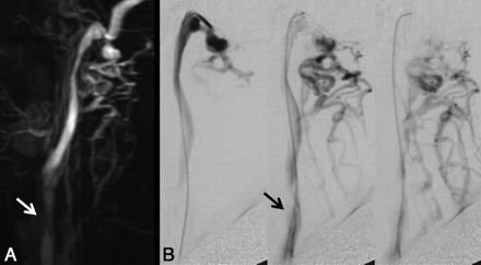 Fig 7.