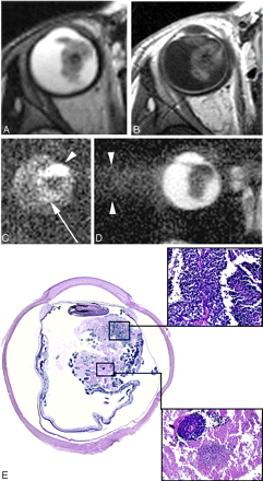 Fig 1.