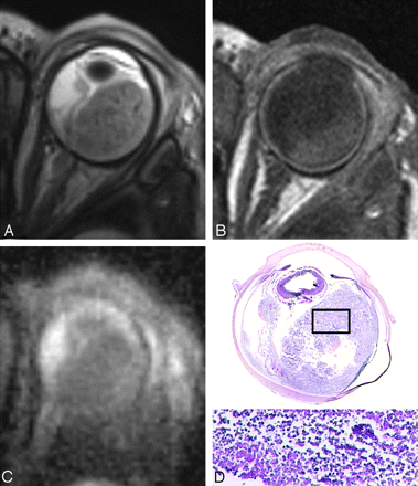 Fig 5.