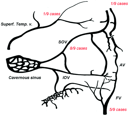 Fig 2.