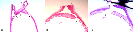 Fig 3.