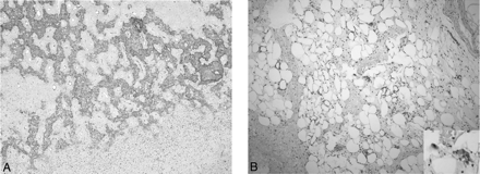 Fig 3.